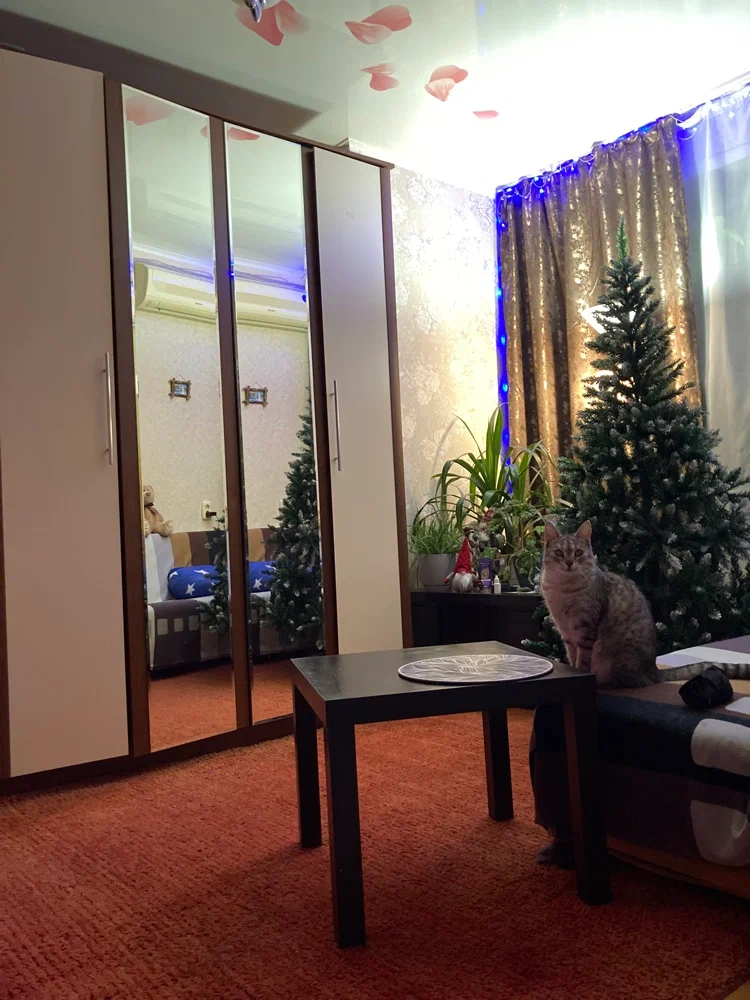 Ёлка Михаил Петров 1