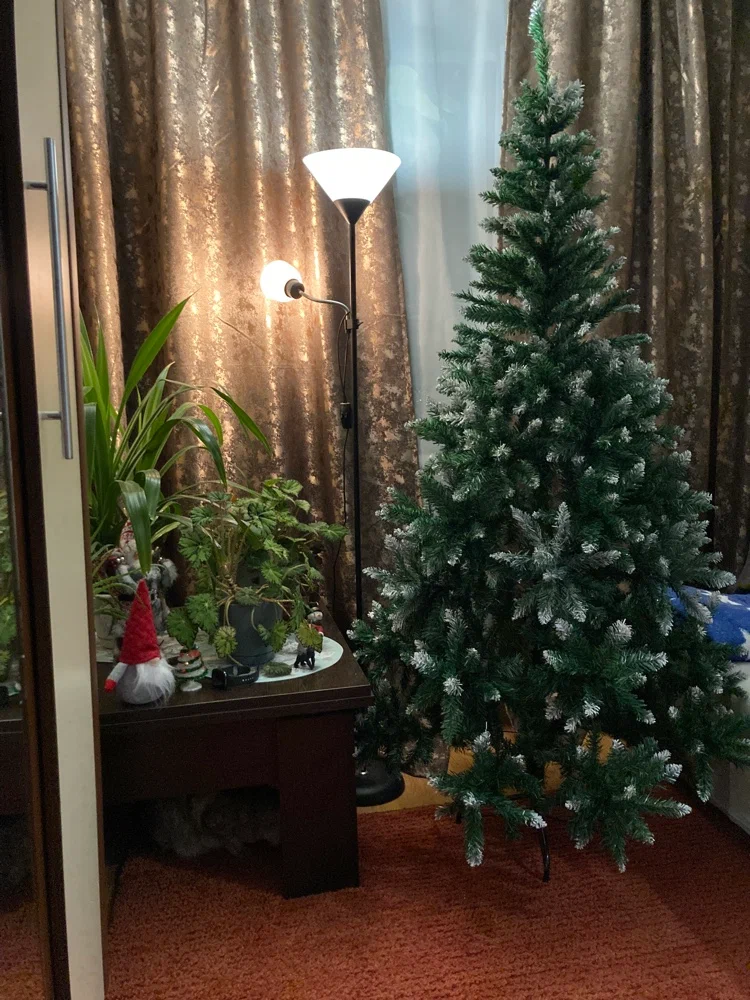 Ёлка Михаил Петров 2