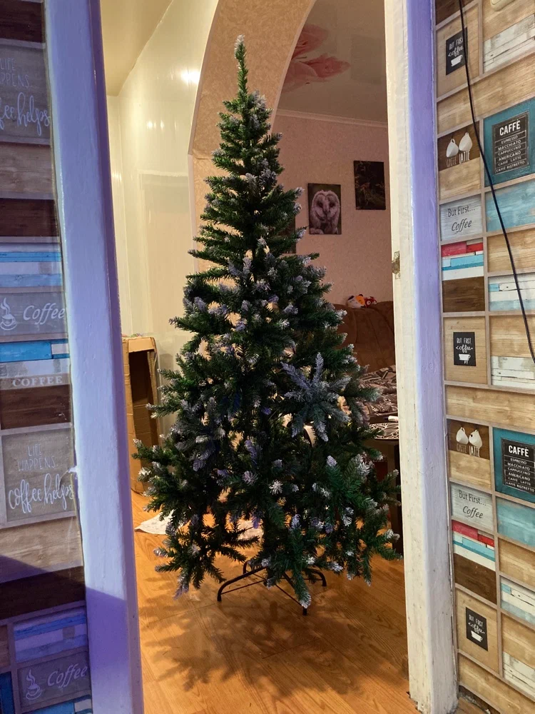 Ёлка Михаил Петров 3